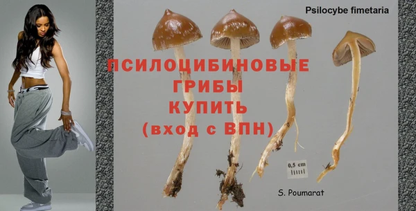 стаф Абинск