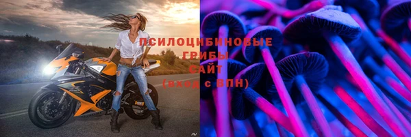 стаф Абинск
