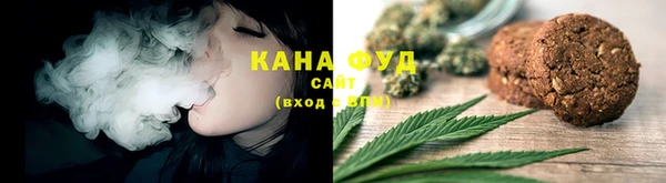 spice Алзамай