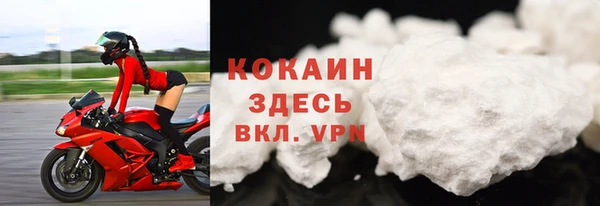 стаф Абинск