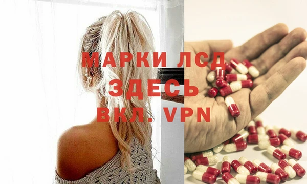 стаф Абинск