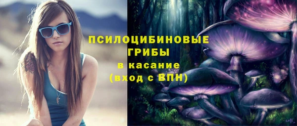 стаф Абинск