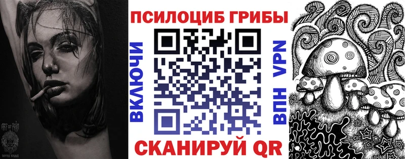 Псилоцибиновые грибы прущие грибы  купить наркотики цена  Новотроицк 